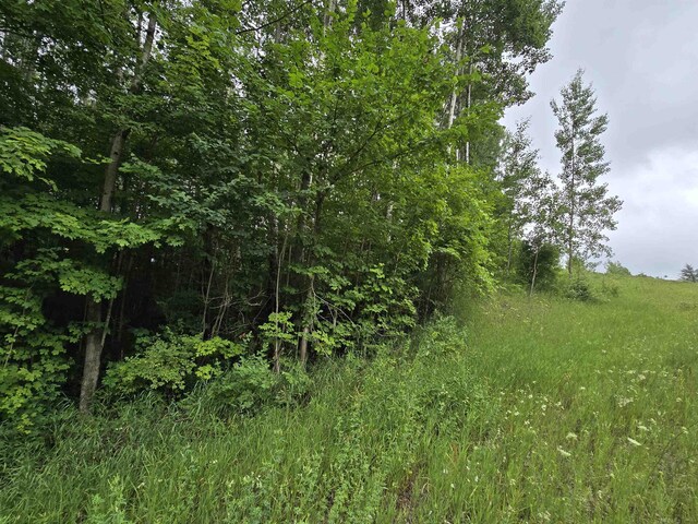 V/L00 N 9th Rd, Mesick, MI 49668 - photo 4