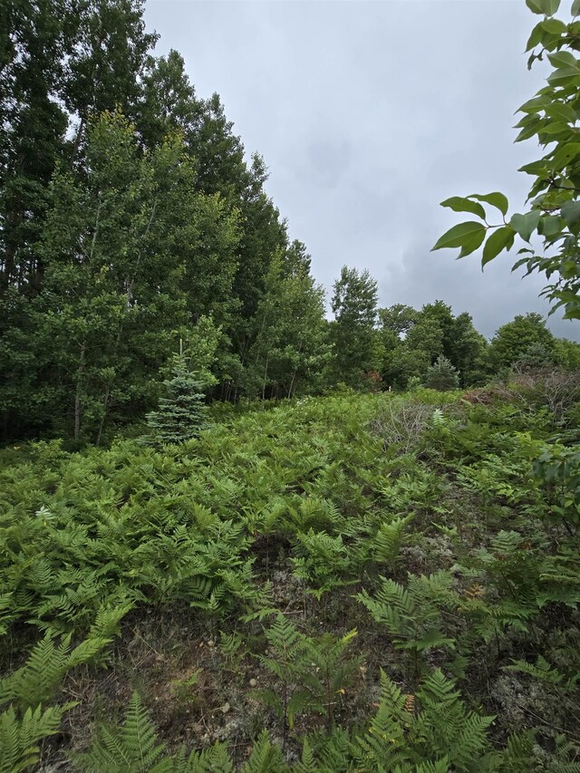 V/L00 N 9th Rd, Mesick, MI 49668 - photo 5