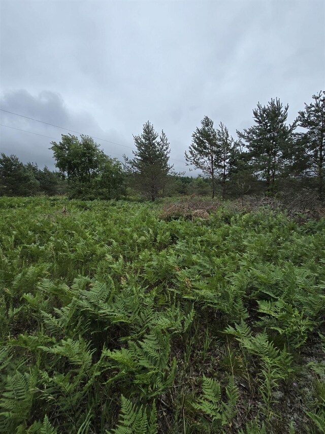 V/L00 N 9th Rd, Mesick, MI 49668 - photo 6