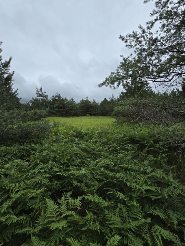 V/L00 N 9th Rd, Mesick, MI 49668 - photo 8