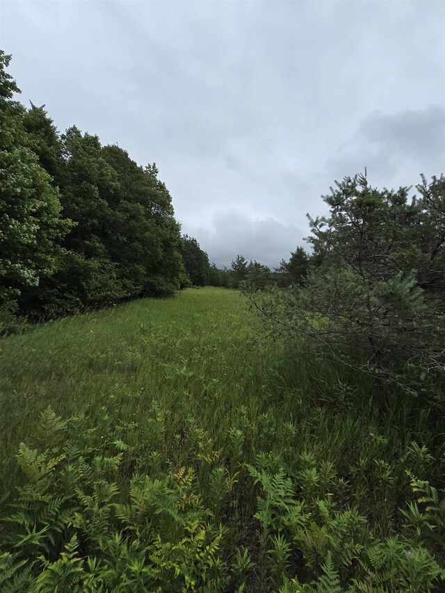V/L00 N 9th Rd, Mesick, MI 49668 - photo 9