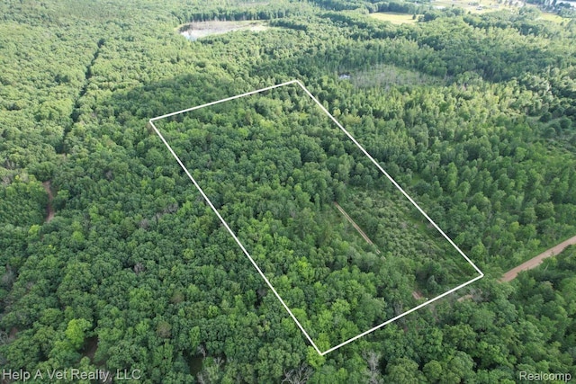 6651 W 6 Mile Rd, Irons, MI 49644 - photo 2