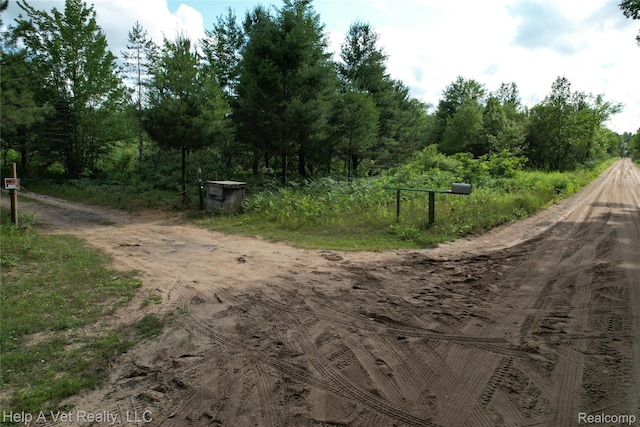 6651 W 6 Mile Rd, Irons, MI 49644 - photo 5