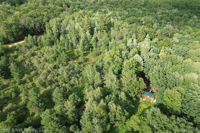6651 W 6 Mile Rd, Irons, MI 49644 - photo 6