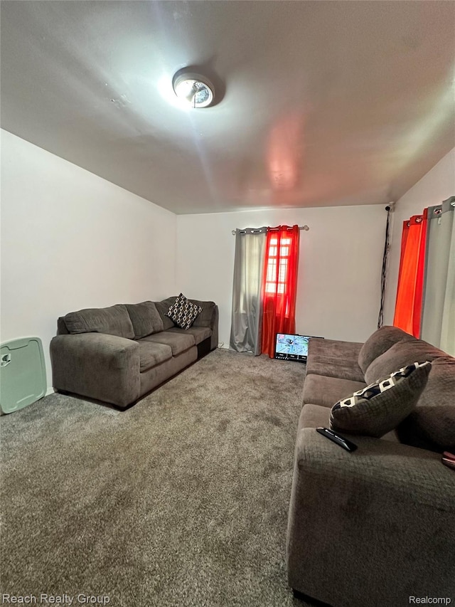 20245 Archdale St, Detroit, MI 48235 - living area with carpet flooring