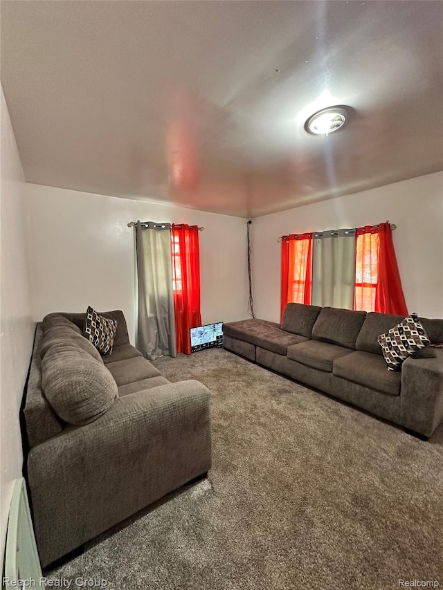 20245 Archdale St, Detroit, MI 48235 - living area featuring carpet flooring
