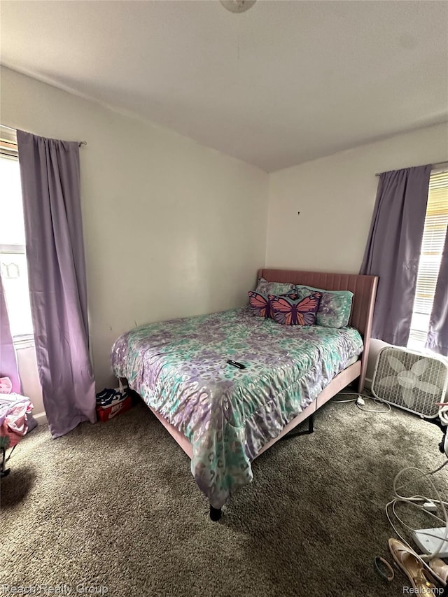 20245 Archdale St, Detroit, MI 48235 - carpeted bedroom with multiple windows