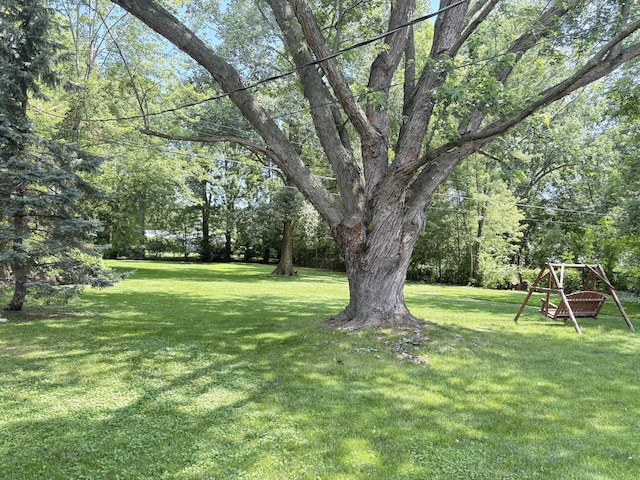 19061 Collinson Ave, Eastpointe, MI 48021 - view of green lawn