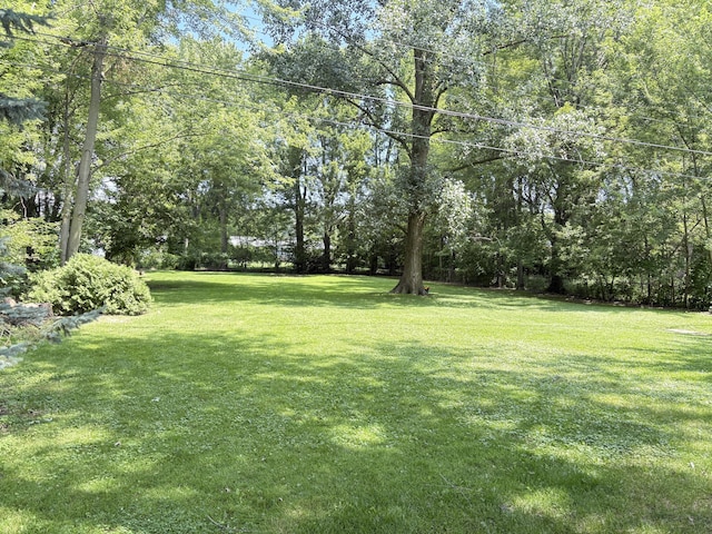 19061 Collinson Ave, Eastpointe, MI 48021 - view of green lawn