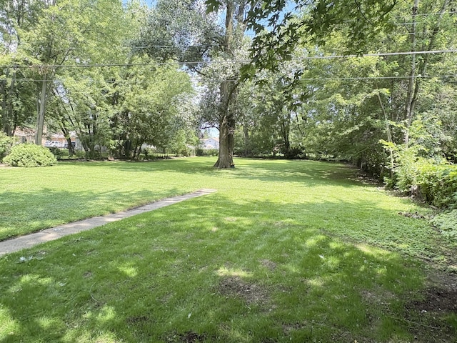 19061 Collinson Ave, Eastpointe, MI 48021 - view of grassy yard