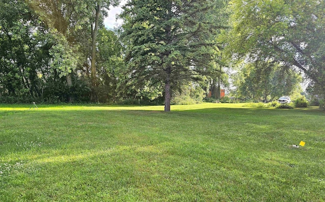 5955 N Pendell Rd, Elwell, MI 48832 - view of green lawn
