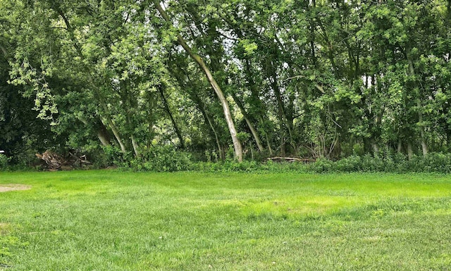 5955 N Pendell Rd, Elwell, MI 48832 - view of yard