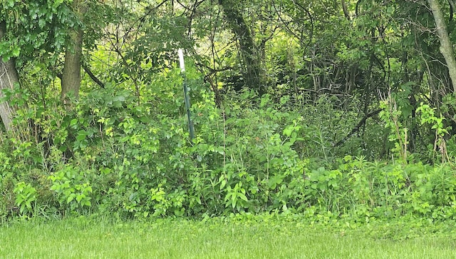 5955 N Pendell Rd, Elwell, MI 48832 - view of nature