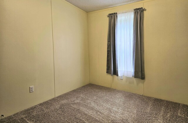 5955 N Pendell Rd, Elwell, MI 48832 - empty room featuring carpet floors and a textured ceiling