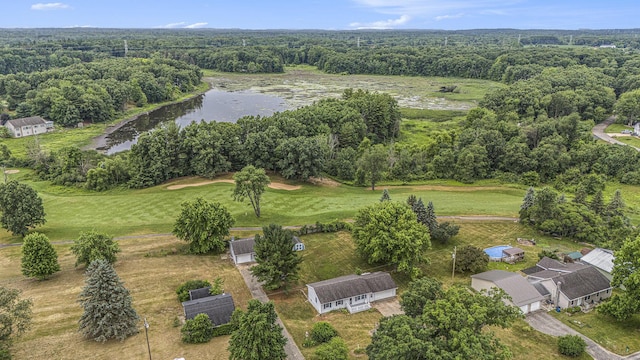13280 Bradshaw St NE, Gowen, MI 49326 - aerial overview of property's location featuring a nearby body of water