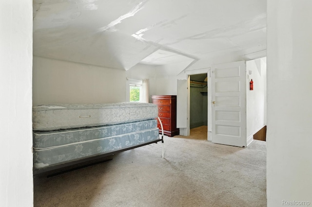 2424 10th Ave, Port Huron, MI 48060 - carpeted bedroom featuring a spacious closet
