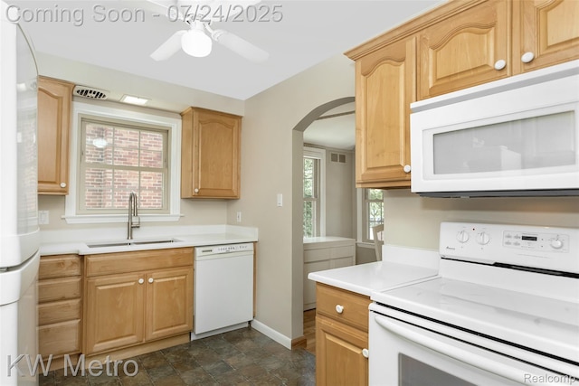23644 Buckingham St, Dearborn, MI 48128 - photo 9