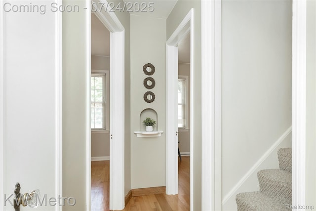 23644 Buckingham St, Dearborn, MI 48128 - photo 17