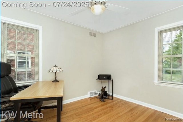 23644 Buckingham St, Dearborn, MI 48128 - photo 11