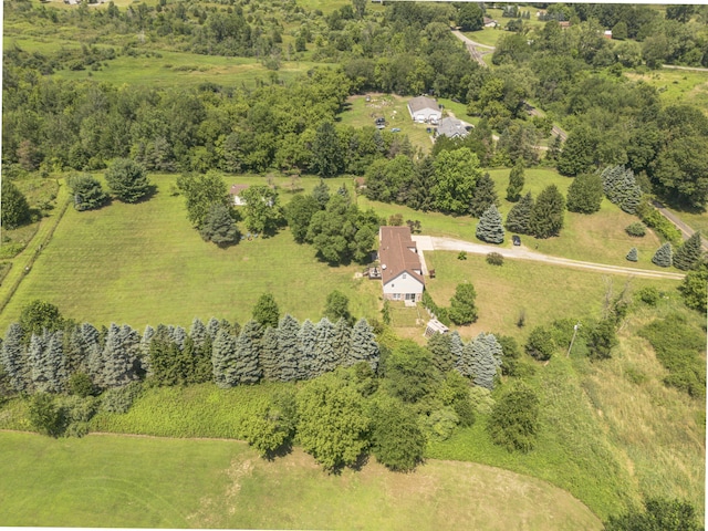 2800 Maute Rd, Grass Lake, MI 49240 - photo 14