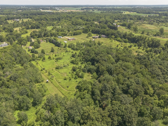 2800 Maute Rd, Grass Lake, MI 49240 - photo 18