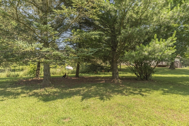 2800 Maute Rd, Grass Lake, MI 49240 - photo 10