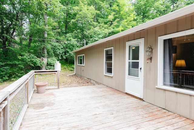 2788 N Wisner Ave, White Cloud, MI 49349 - photo 2