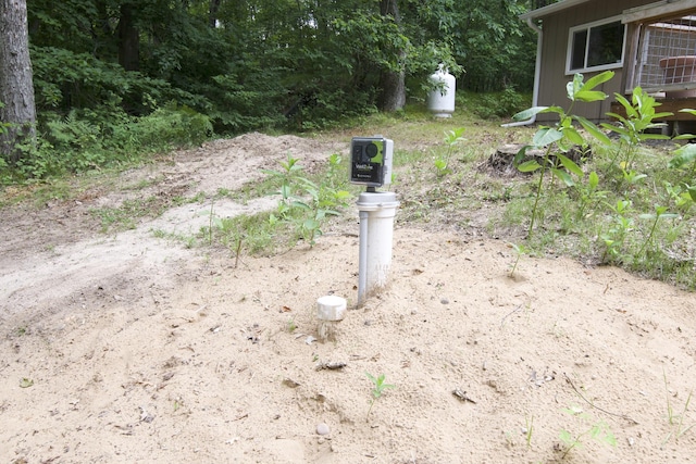 2788 N Wisner Ave, White Cloud, MI 49349 - photo 21