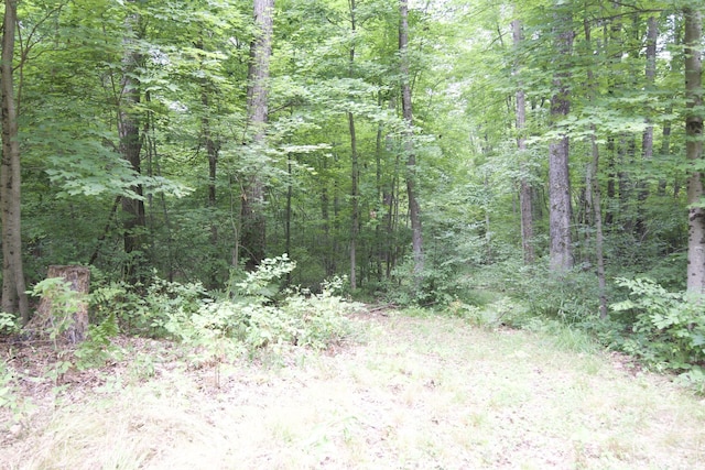 2788 N Wisner Ave, White Cloud, MI 49349 - photo 22