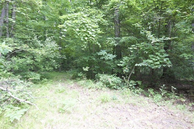2788 N Wisner Ave, White Cloud, MI 49349 - photo 23