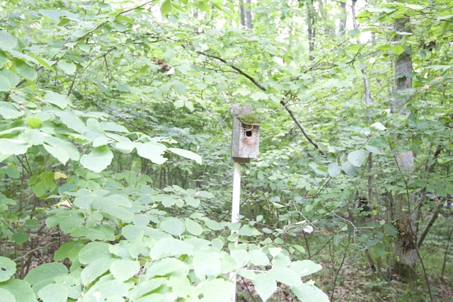 2788 N Wisner Ave, White Cloud, MI 49349 - photo 24