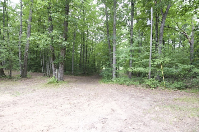 2788 N Wisner Ave, White Cloud, MI 49349 - photo 25