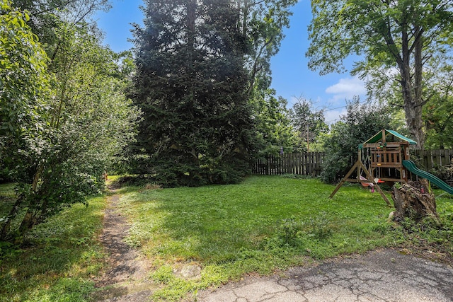 429 Portage Ave, Three Rivers, MI 49093 - view of yard with a playground