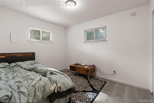 4630 Pelham St, Dearborn, MI 48125 - photo 12