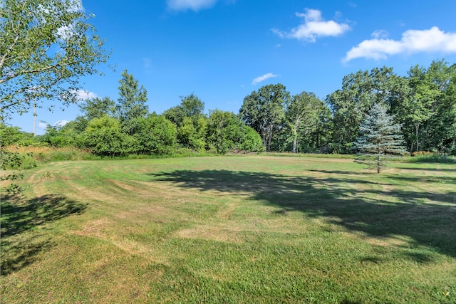 5311 E Burt Rd, Osseo, MI 49266 - photo 7