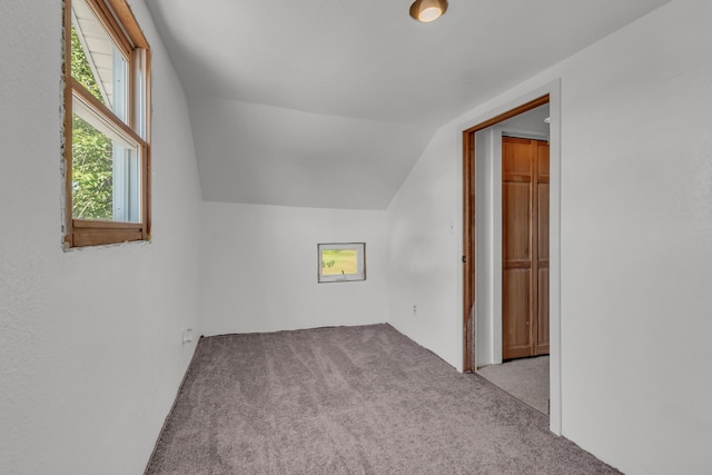 5311 E Burt Rd, Osseo, MI 49266 - photo 27