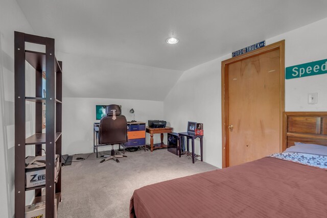 5311 E Burt Rd, Osseo, MI 49266 - photo 28