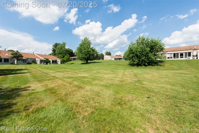 25104 Hamilton Ct Unit 4, South Lyon, MI 48178 - view of grassy yard