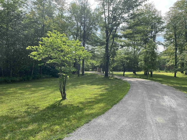 2262 Hull Rd, Standish, MI 48658 - photo 15
