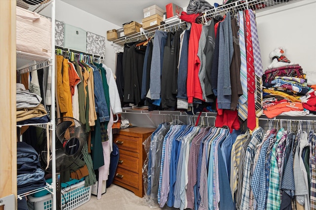 2388 Chestnut Cres, Saline, MI 48176 - walk in closet with carpet flooring