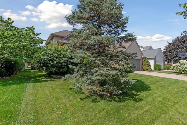 2388 Chestnut Cres, Saline, MI 48176 - obstructed view of property with concrete driveway, a garage, a front lawn, and a shingled roof