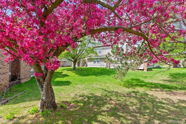 6614 Embers Ct, West Bloomfield, MI 48322 - view of grassy yard