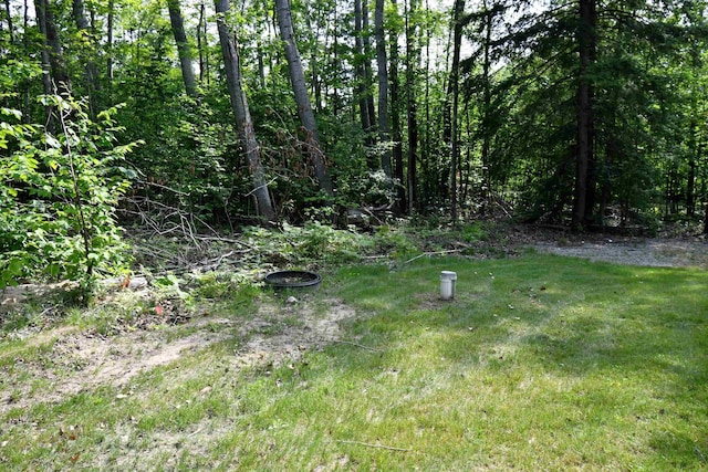 5278 Reynolds Rd, Cheboygan, MI 49721 - photo 49