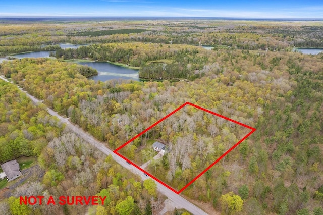 5278 Reynolds Rd, Cheboygan, MI 49721 - photo 51