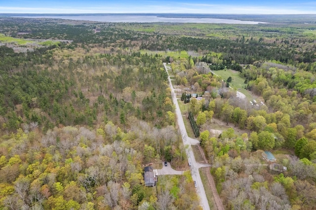 5278 Reynolds Rd, Cheboygan, MI 49721 - photo 54