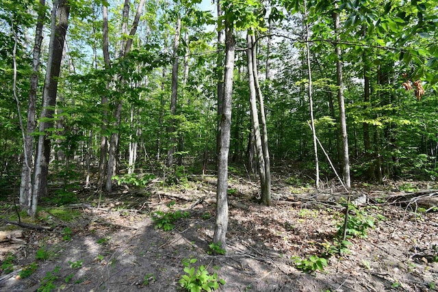 5278 Reynolds Rd, Cheboygan, MI 49721 - photo 44