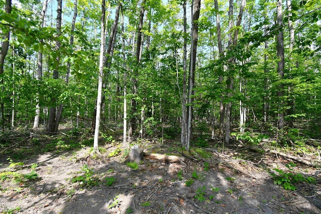 5278 Reynolds Rd, Cheboygan, MI 49721 - photo 45