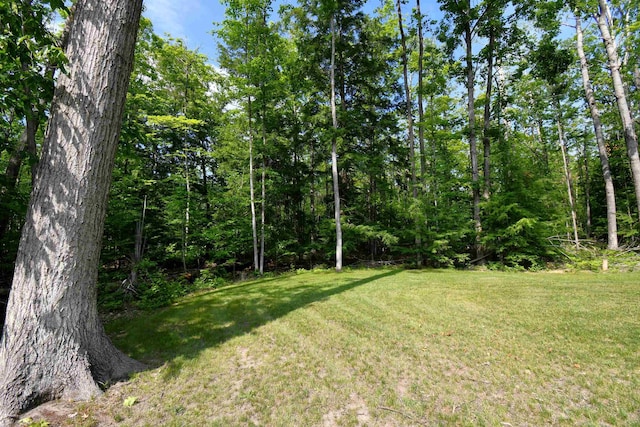 5278 Reynolds Rd, Cheboygan, MI 49721 - photo 46