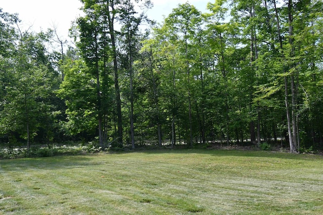 5278 Reynolds Rd, Cheboygan, MI 49721 - photo 47