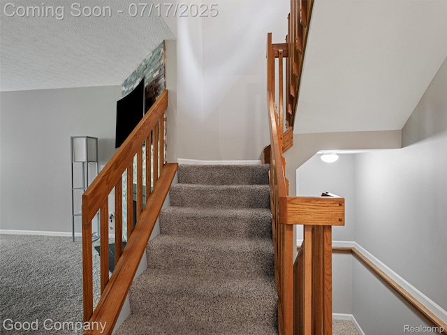426 Forest Dr, Brighton, MI 48116 - photo 14